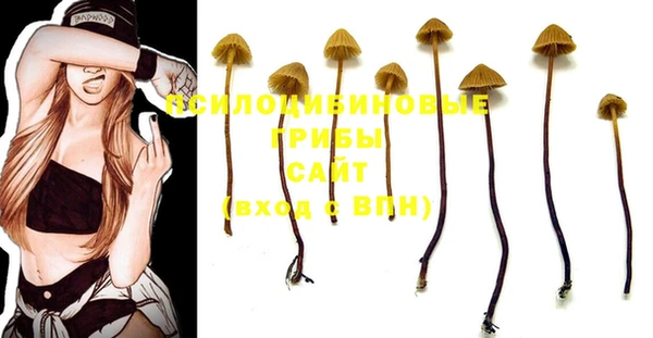 мдма Дмитриев